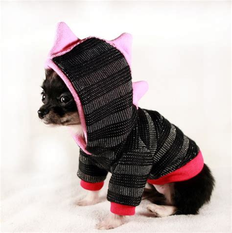 The 15 Most Embarrassed Dogs on Dress Up Your Pet Day