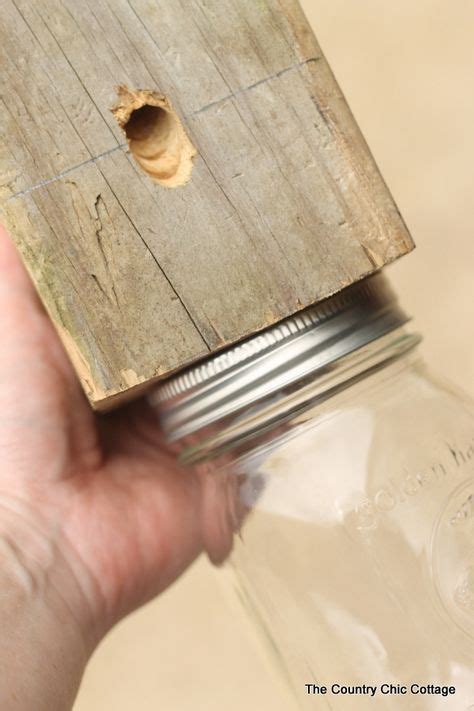 Carpenter bee traps diy - secondseka
