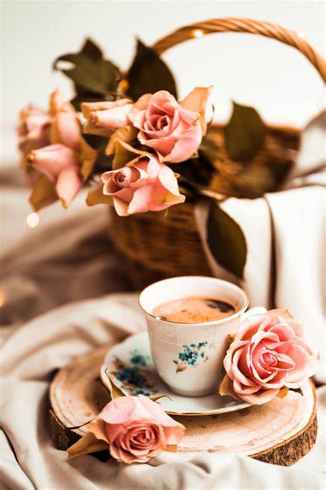 Pink Kalanchoe · Free Stock Photo