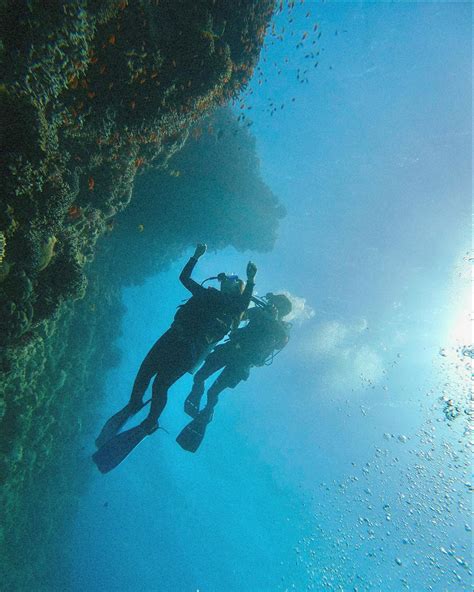 EMILY HILL (@evolutionwithemily) • Instagram photos and videos