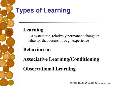 chapter  learning powerpoint    id
