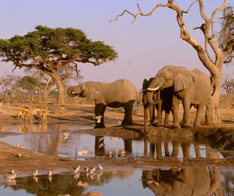 Why is Botswana a holiday hotspot for 2015? - A Luxury Travel Blog