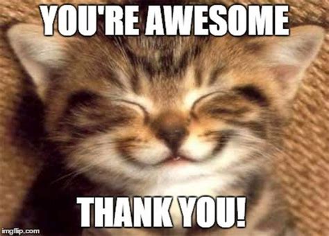 101 Funny Thank You Memes | Funny office memes, Funny thank you quotes ...