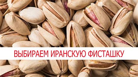 Иранская фисташка Фандоги, Бадами, Акбари - YouTube