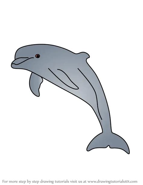 How to Draw a Bottlenose dolphin (Marine Mammals) Step by Step ...