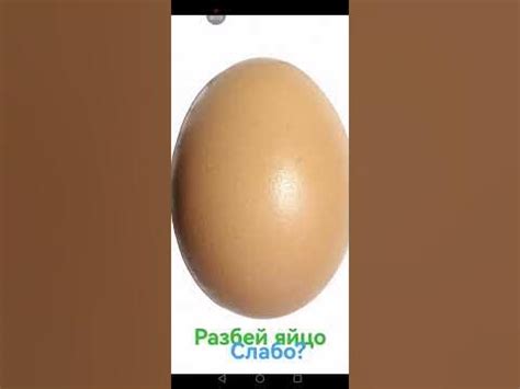 разбей яйцо!!! - YouTube