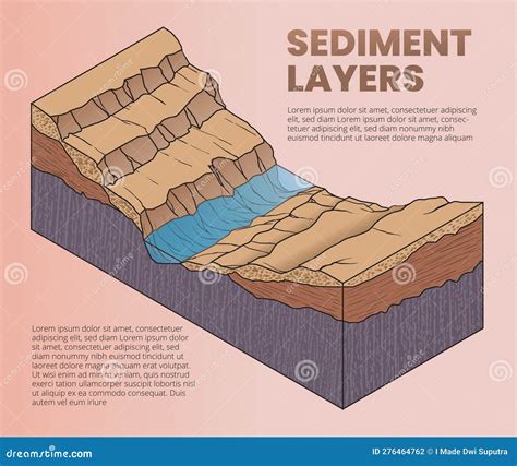 Illustration of Sediment Layers Diagram Stock Vector - Illustration of ...