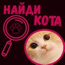 Найди кота (от OYSHI): Играть Онлайн Бесплатно На Playhop