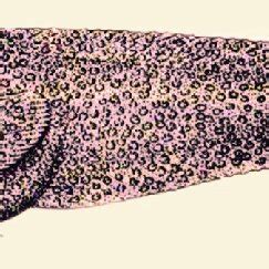 -Benthalbella elongata, drawing from Johnson (1974, fig.20A, after ...