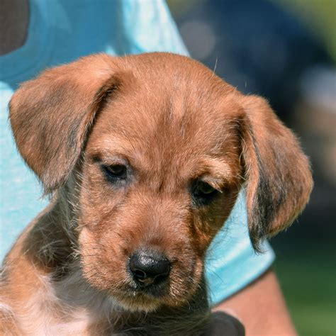 brady animal hospital 5