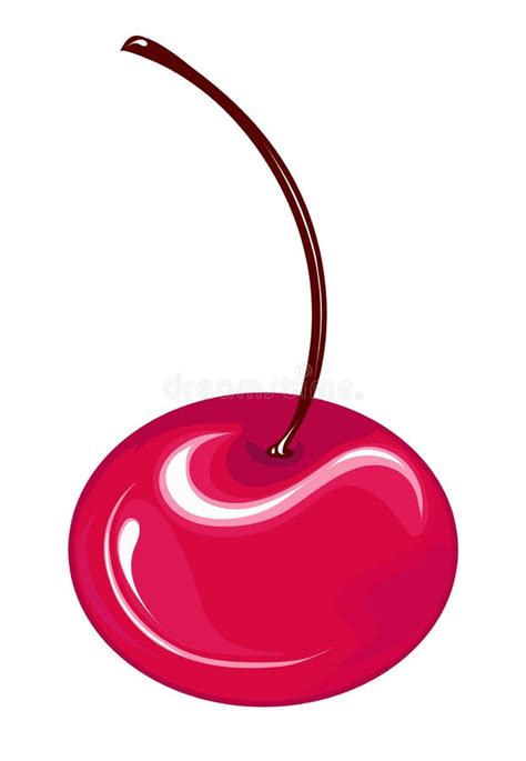 cherry  stock vector illustration  vegetarian appetite