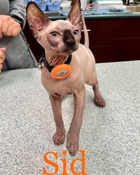 VCA Pacific Veterinary Center | Torrance CA
