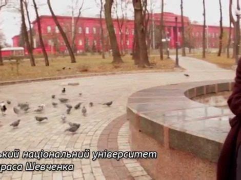 Портрет Василя Симоненка (автор Анна Недоля) » Василь Симоненко