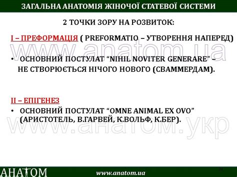 10 – SYSTEMA GENITALE FEMININUM – АНАТОМ | ANATOM.UA