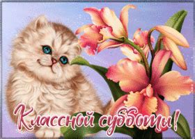 Открытка замечательной субботы | Открытки Онлайн