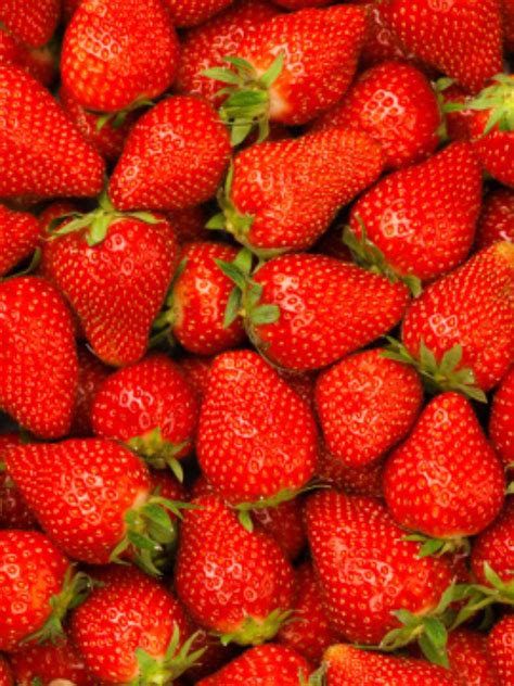 Mulher Melancia Wiki