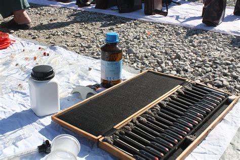 Chloroform for sale, Hrelić | Hrelić flea market, Zagreb | Flickr