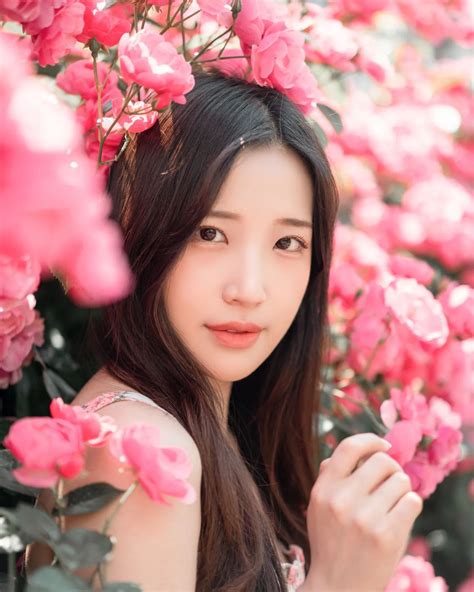 Lovely rose | Пикабу