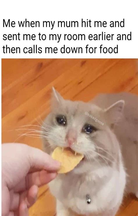 cry baby cat memes