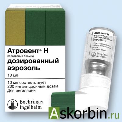 АТРОВЕНТ Н 20МКГ/ДОЗА 200ДОЗ 10МЛ АЭРОЗОЛЬ: купить от 407,00 руб. в ...