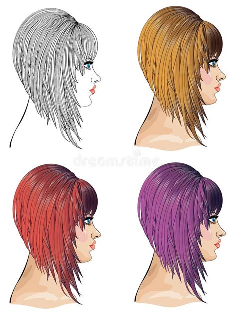 Cabelo Bob ilustração do vetor. Ilustração de estiloso - 51626031