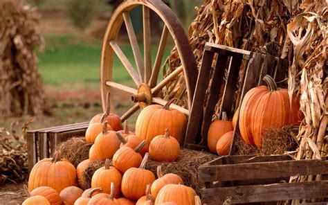 Fall Farm Wallpapers - Top Free Fall Farm Backgrounds - WallpaperAccess