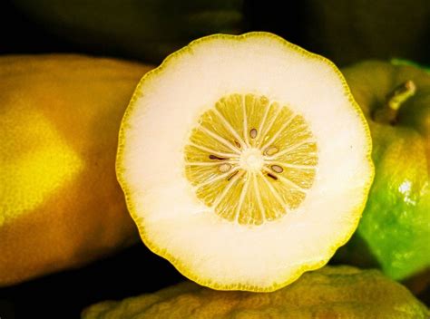 Sonhar com Limão siciliano - Sonhos Significado Limão siciliano