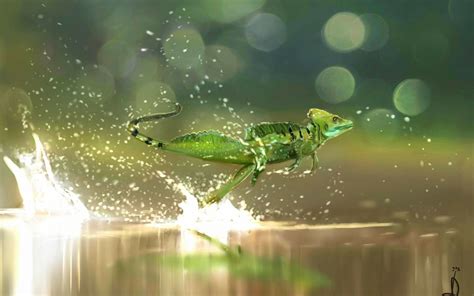 Download Lizard Animal Basilisk HD Wallpaper