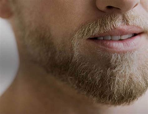 Full Beard Styles For Men