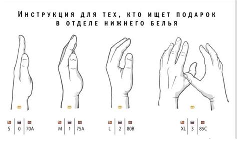 2 розмір грудей: як виглядає гола, красива сиська, фотографія жіночої ...
