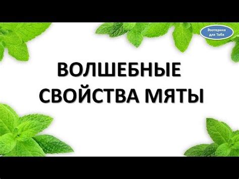 Волшебные свойства мяты - YouTube