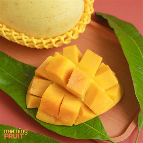 xoai cat chu da vang  ma dep gia tot giao hang tan noi tphcm