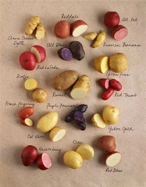 The humble tatie got to love them. | Potato varieties, Food, Food facts