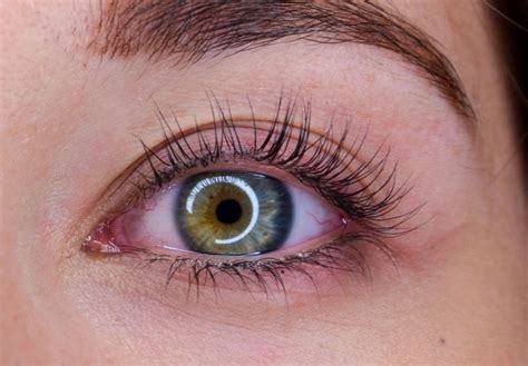 Online Lash Lift & Tinting Course | The Lash Studio