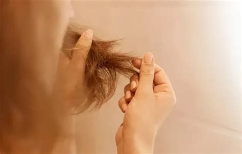 Coarse Hair Texture : Possible Causes | Mediko.PH