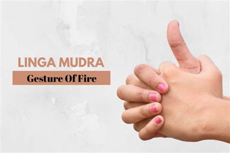 linga mudra    benefits precautions   fitsri yoga