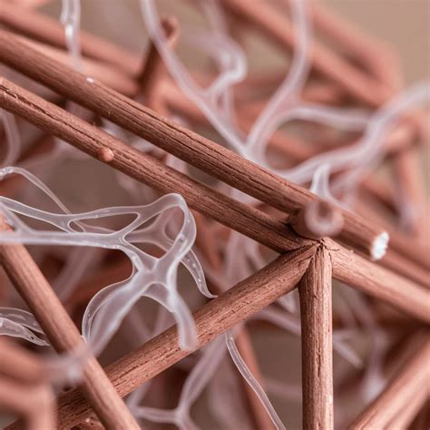 What Is the Energy Consumption Difference between Manual Sorting and