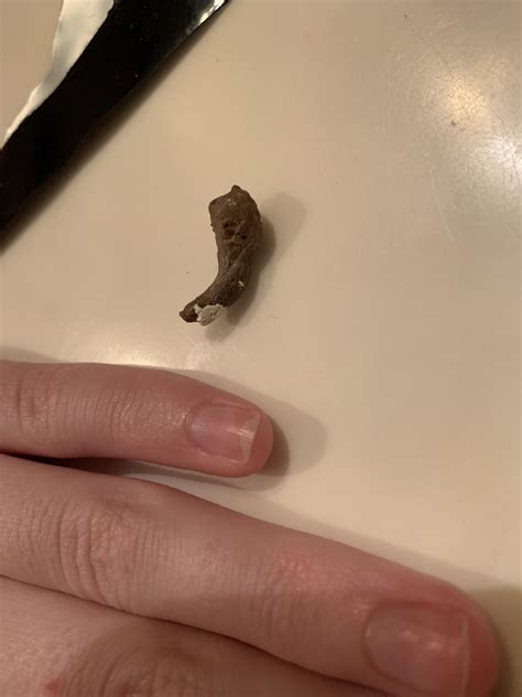 is it normal gecko injured at home 2