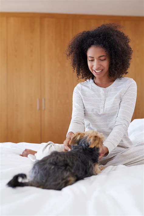 New organic food lines will soon arrive at pets at home cheltenham 20