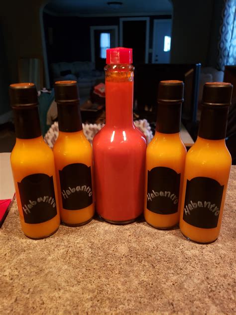 Tried making homemade hot sauce for the first time. : r/spicy