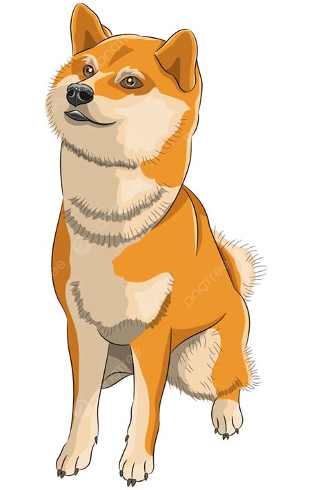 Smiling Japanese Akita Inu Dog Sitting, Lie, Training, Isolated PNG and Vector with Transparent
