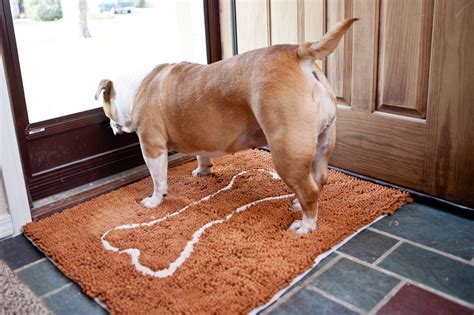 Wet Dog Doormat - The Secret to Absorbency | Soggy Doggy – Soggy Doggy Productions