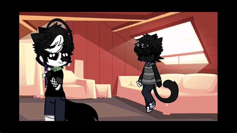 меме/коты воители 😺/ 💚Бич /Костяк 💜 - YouTube