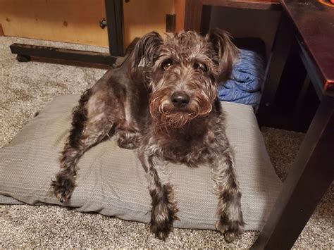 where does robert benevides live now 12