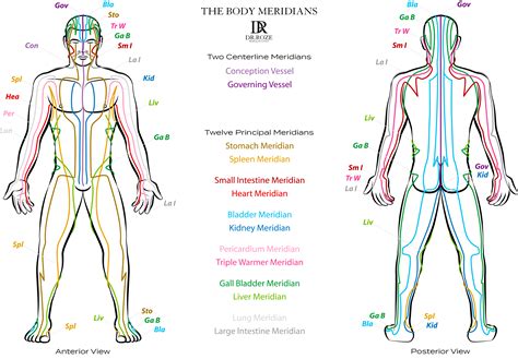 Meridian Detailing at Imogen Parry-okeden blog