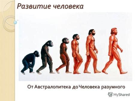 Презентация на тему: "Развитие человека От Австралопитека до Человека ...