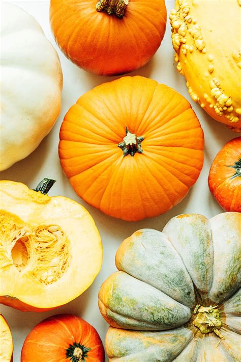 Are Pumpkin Guts Bad For Dogs