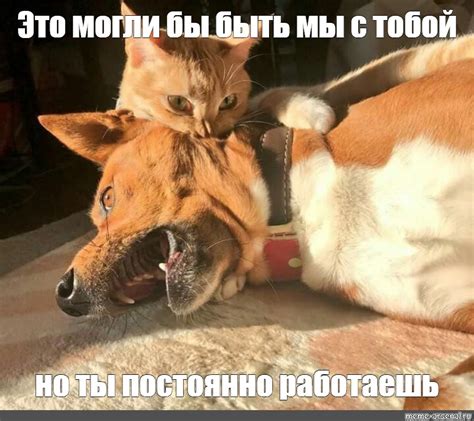 Meme: "Это могли бы быть мы с тобой но ты постоянно работаешь" - All ...