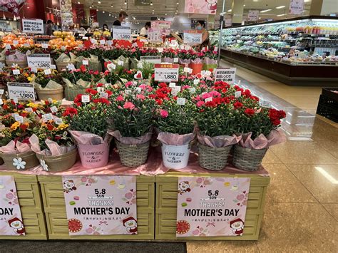 Mother’s Day in Japan - Japan Web Magazine