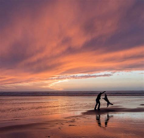 Laguna Beach Maps and Directions - Visit Laguna Beach